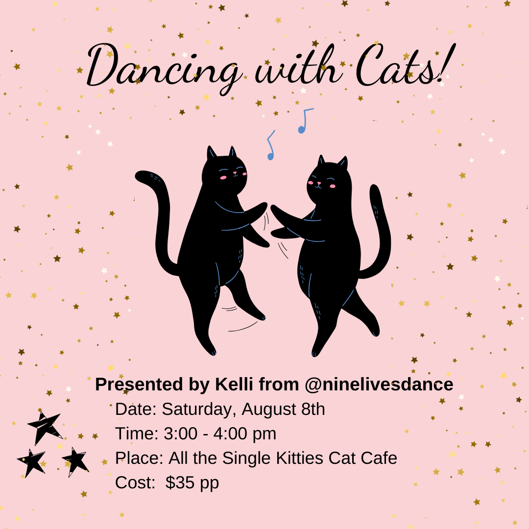 Dancing with Cats!