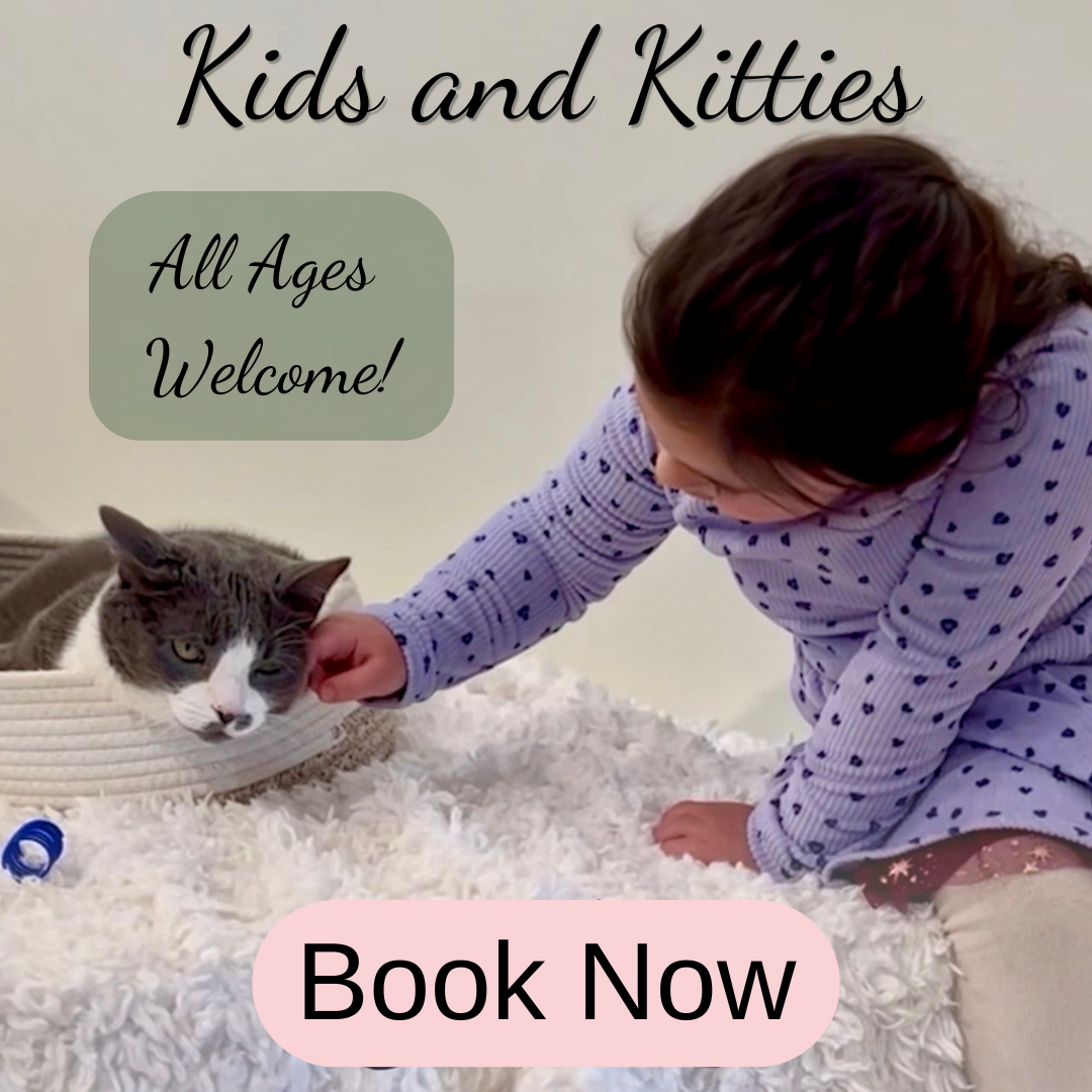 Kids & Kitties