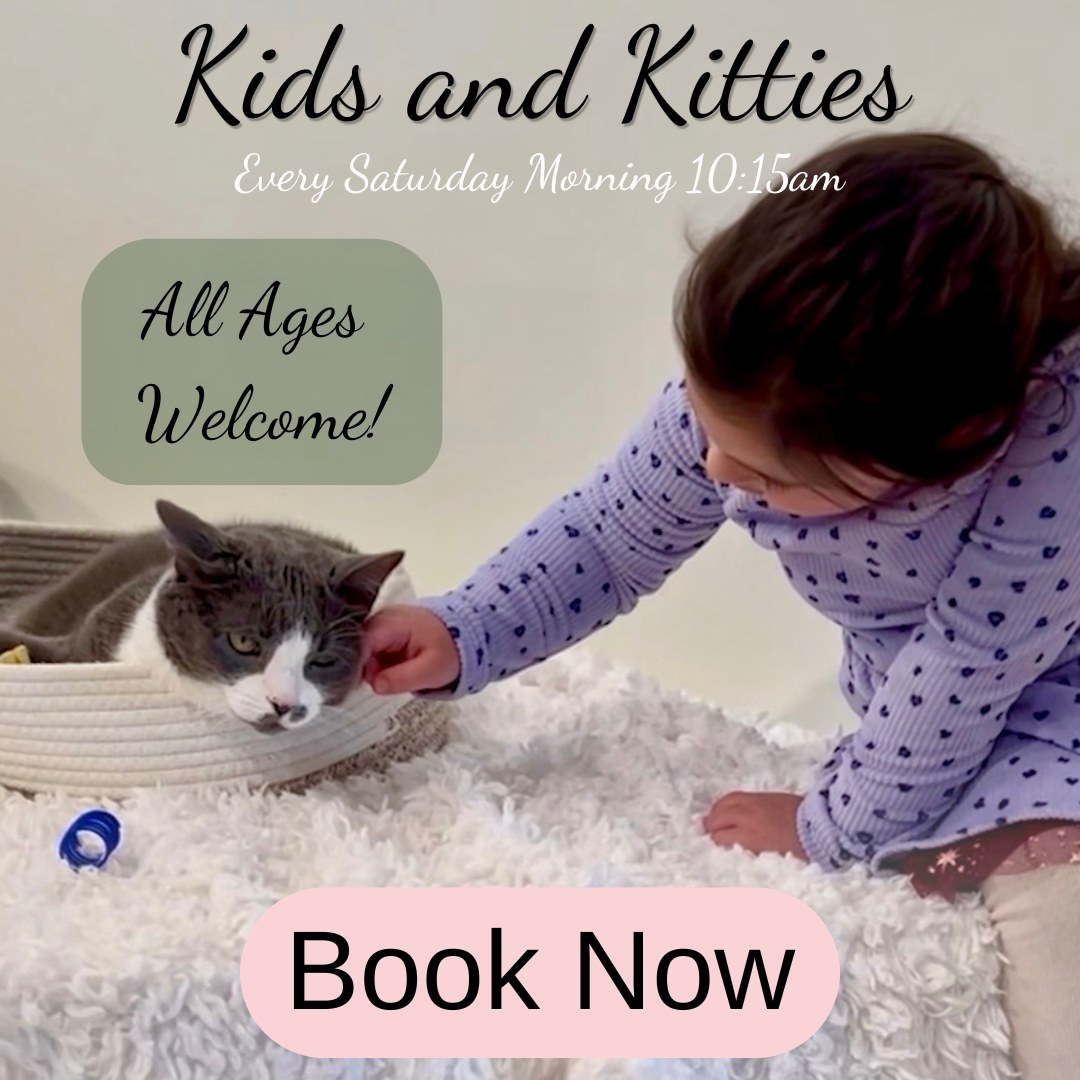 Kids & Kitties